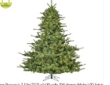 Pino Verde Ancho Menos Ramas 10'x84"