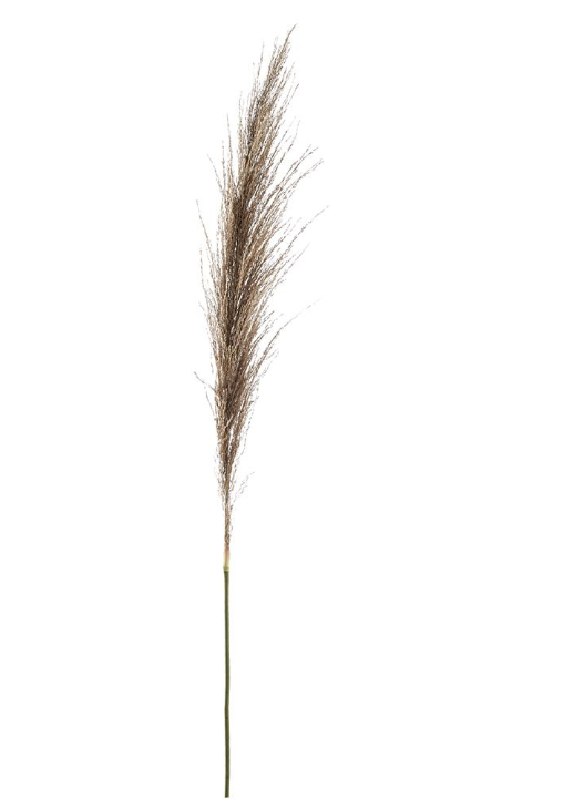 Vara Beige Hierba de Caña 46"