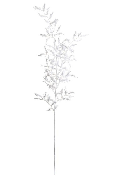 Vara Blanco Ruscus Encaje 49"