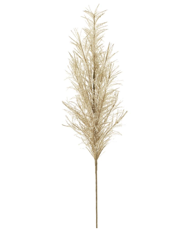 Vara Beige Pampas 34.5"