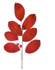 Vara Rojo Magnolia Terciopelo 31"