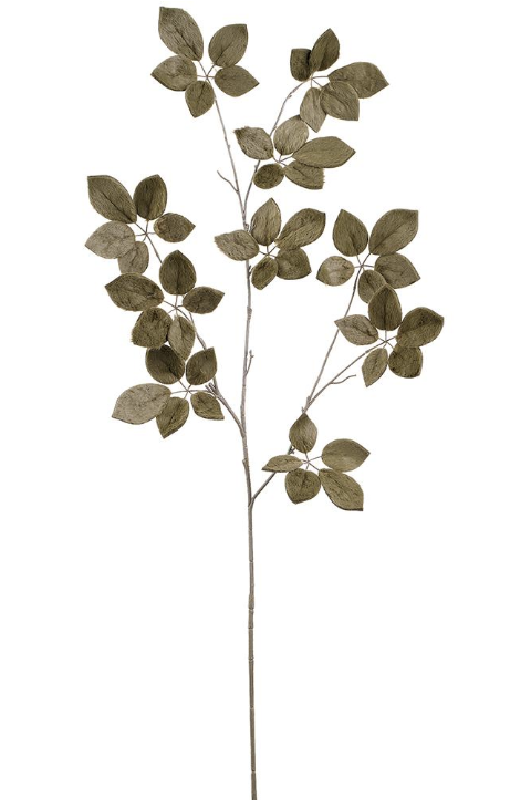 Vara Verde Scheffera 50"