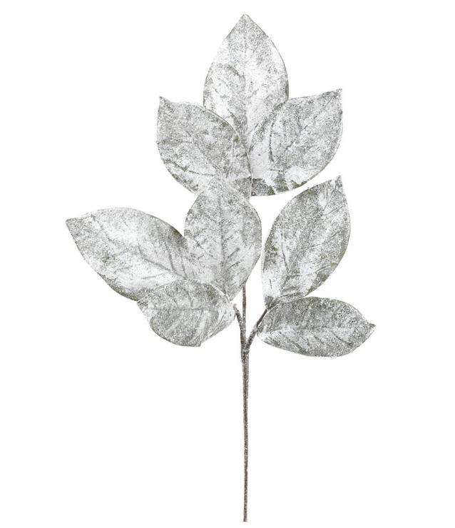 Vara Magnolia Nieve 32"