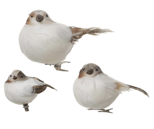 [BBC103-WH/BR] Set 3 Pájaros