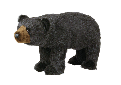 [60000] Oso Negro Footrest