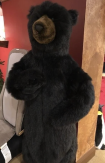 [75035] Oso Negro Parado 58"
