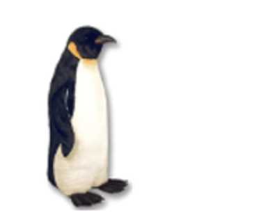 [50400] Pinguino Emperador 40"