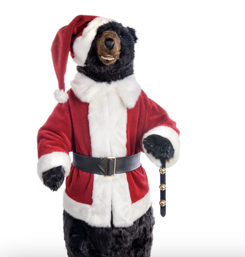 [95780] Disfraz Santa