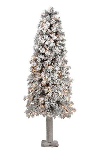 [YNT305-SN] Pino Nieve Slim 5'