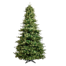 [YTT762-GR] Pino Verde Ancho Menos Ramas 12' x 88"