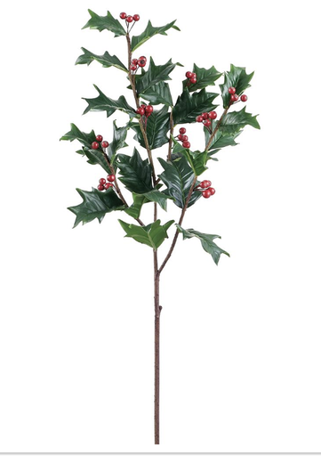 [XHS517-GR/RE] Vara Holly 32"