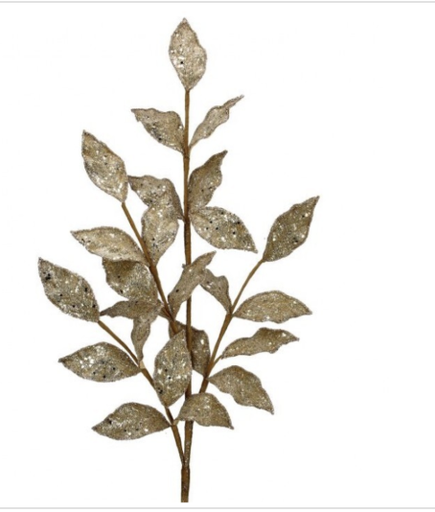 [MTX68898-CHAM] Vara Champagne Laurel Piedras 29"