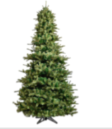 [YTT842-GR] Pino Verde 12" x 88" 1300Led