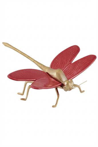 [Z.LE045CN] Libelula Coral