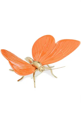 [Z.LE043LN] Mariposa Naranja