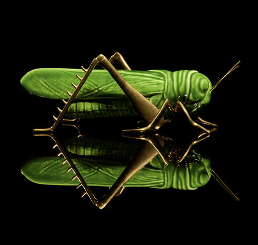 [Z.LE042PD] Chapulin Verde
