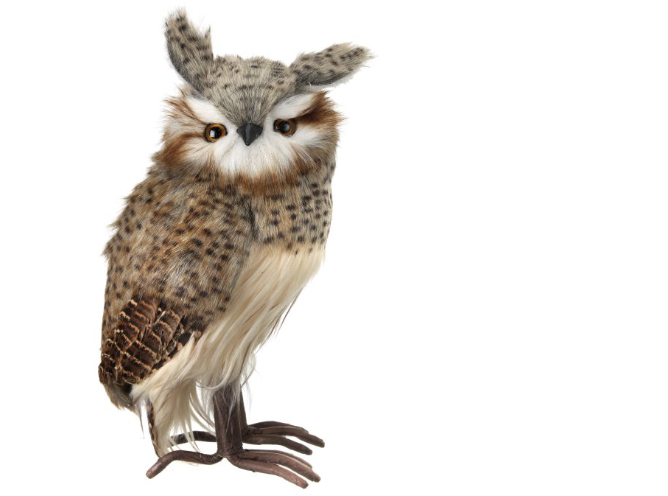 Buho Cafe Manchas 10.5"