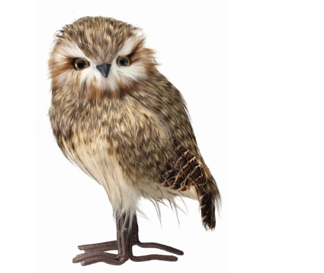 Buho Cafe Manchas 11.5"