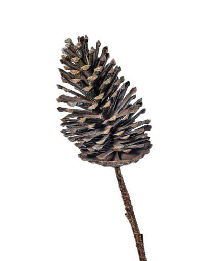 [MTX65794] Vara Piña Café