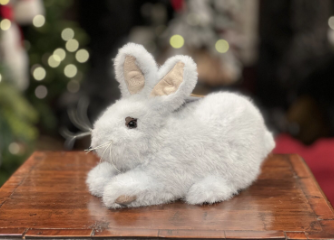 Conejo Blanco Baby