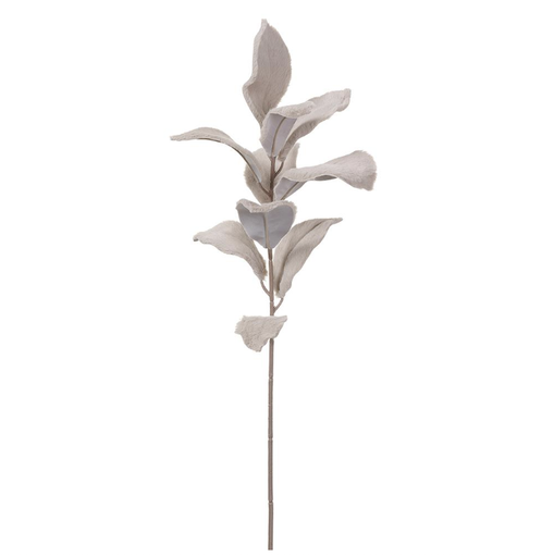 [XFS588-TP] Vara Beige Magnolia Terciopelo 