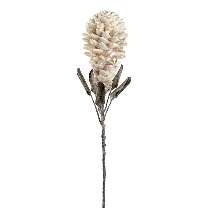 Vara Beige Maraca 32"