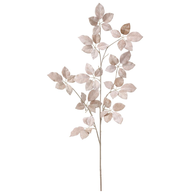 Vara Scheffera Beige Terciopelo 50"