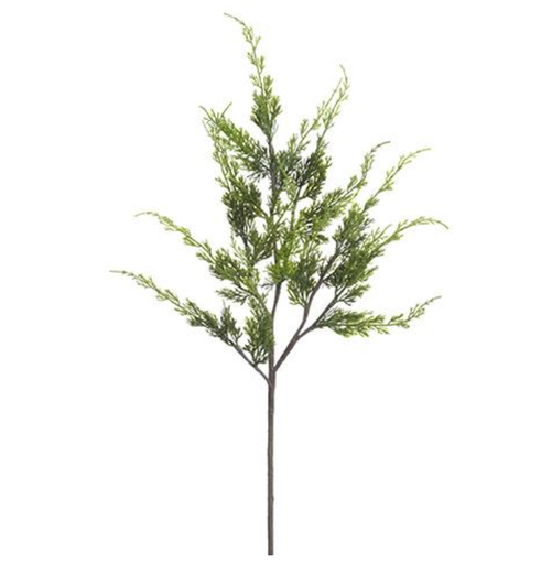 [YSC326-GR] Vara Pino Cypress 